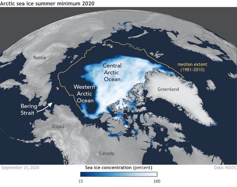 Global climate change is warming the Arctic Ocean and shrinking sea ice. Here, the blue-white ice cap shows the coverage of sea ice at its smallest extent in summer 2020, and the yellow line shows the typical Arctic sea ice minimum extent between 1981 and 2010. Some have proposed that the newly exposed sea surface will lead to a plankton population boom and a burgeoning ecosystem in the open Arctic Ocean, but a team of Princeton scientists say that’s not likely.