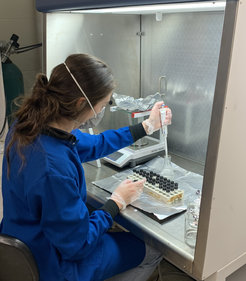 Ona Underwood of the Class of 2021 was a key member of the research team, analyzing western Arctic Ocean sediment cores for her junior project. Here, she performs nitrogen analyses on Arctic Ocean forams in the Sigman laboratory. She and the other members of the research team measured the nitrogen isotope ratios of the trace organic matter trapped in the walls of these fossils.