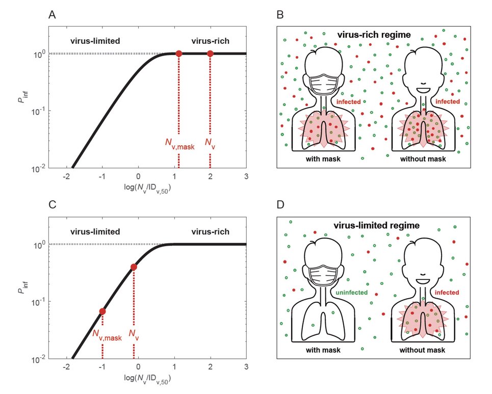 How masks work in virus-limited and virus-rich regimes (Science 2021)