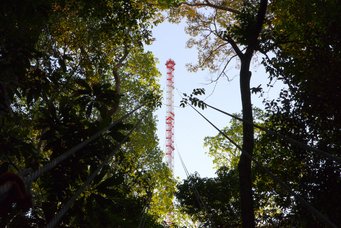 With the help of the 325-meter-high tower at ATTO, exchange processes between the rainforest and the atmosphere can be studied ATTO research tower in the Amazon rainforest