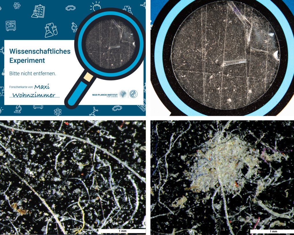 So sieht eine Forscherkarte aus, die wir im Wohnzimmer auf einer TV-Bank ausgelegt haben. Dem Klebestreifen haften Hausstaub und Hundehaare an. Die Aufnahmen oben haben wir mit dem Handy gemacht, die Aufnahmen links und rechts unten mit dem Lichtmikroskop.