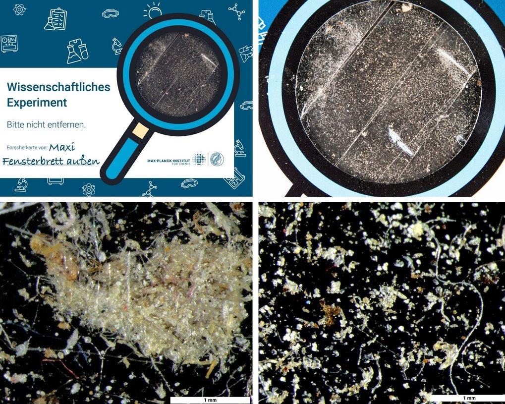 Aufnahmen der Forscherkarte, ausgelegt auf einem Fensterbrett (außen). Zu sehen sind Pollen von Blumen und Straßenstaub. Die oberen Biler wurden mit dem Handy aufgenommen, die unteren mit unserem Lichtmikroskop.