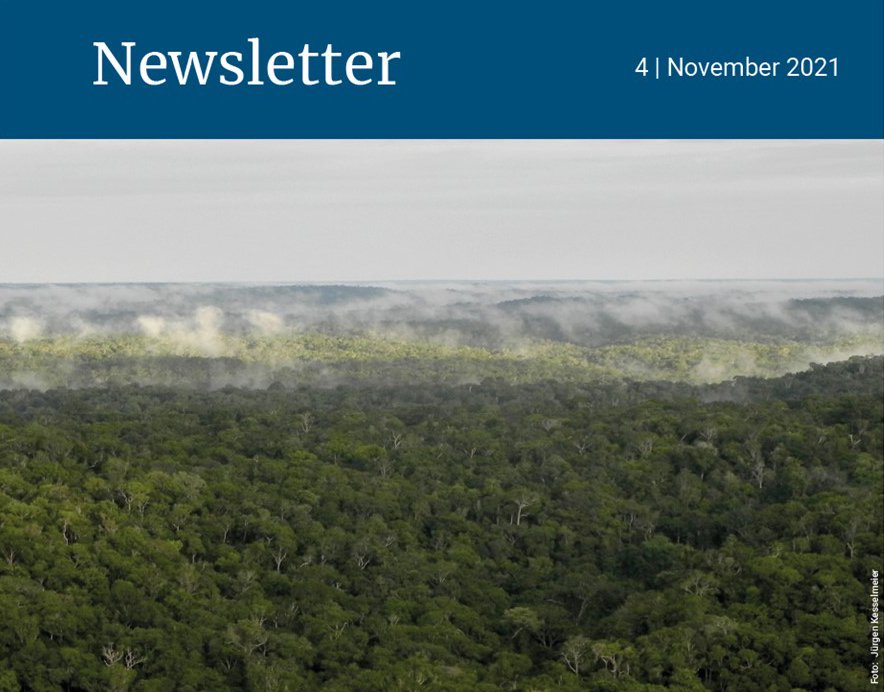 Aerial perspective of a dense tropical forest with layers of fog drifting over the horizon under a cloudy sky.