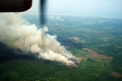 Aerosole aus der Verbrennung von Biomasse haben in Südostasien wie hier in der indonesischen Provinz Kalimantan Timur auf Borneo einen besonders starken Einfluss auf die Wolkenbildung.