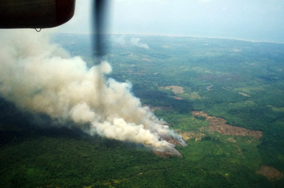 Aerial view of smoke rising from a burning area within a sprawling green forest landscape.