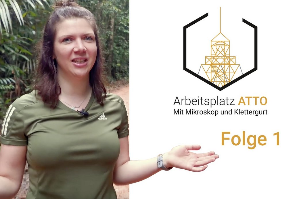 Bild von Leslie Krempe