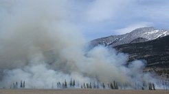 Fur Trees, smoke, mountains, blue sky with white clouds