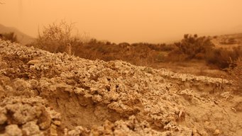 Biological soil crusts strengthen the soil and ensure that less sand is stirred up and thus fewer dust particles are released into the atmosphere. Eroded terrain with cracked soil and scattered bushes, shrouded in a hazy orange sky.