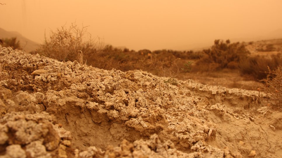 Eroded terrain with cracked soil and scattered bushes, shrouded in a hazy orange sky.