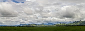 In the upper troposphere, nitric acid, sulfuric acid and ammonia form condensation nuclei for cloud formation. This occurs especially over the Asian monsoon region, where ammonia is mainly released from livestock farming and fertilizers. Expansive green fields stretch towards a range of low, tree-covered mountains beneath a cloudy sky.