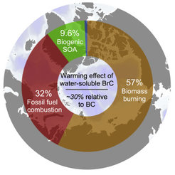 Brown carbon from biomass burning imposes strong circum-Arctic warming (One Earth 2022)