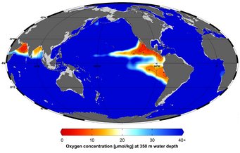 Studies of sediment cores show that open ocean oxygen-deficient zones (in red) shrank during long warm periods in the past. Global map showing oxygen concentration at 350m depth, with red areas indicating low levels.