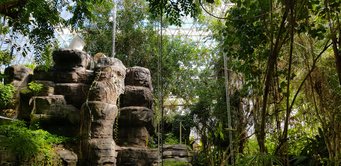 Geschlossener, künstlicher Regenwald im Biosphäre 2-Komplex in Arizona: Ein Forschungsteam des Max-Planck-Instituts für Chemie, der Universität Freiburg und der Universität von Arizona setzte den Wald drei Monate lang unter mäßigen und anschließend starken Trockenstress. Felsenformation in einem tropischen Gewächshaus mit üppiger Vegetation. Geschlossener, künstlicher Regenwald im Biosphäre 2-Komplex in Arizona