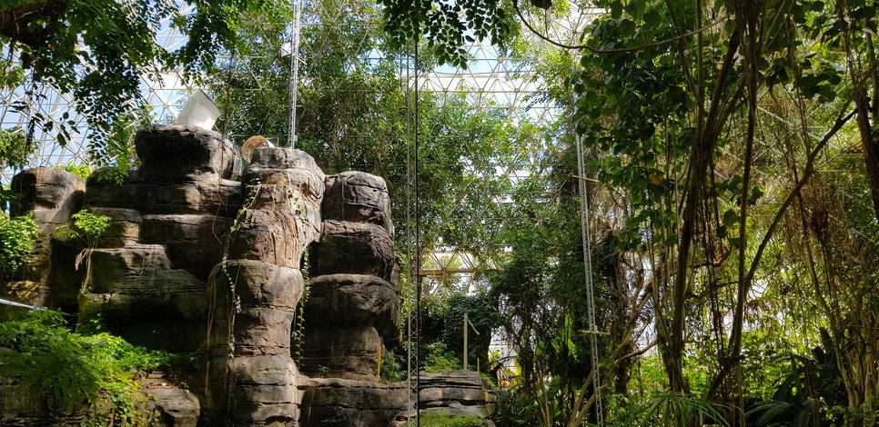 artificial rainforest