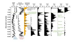 Klimaentwicklung der Grönland/Nordatlantik/Zentraleuropa-Region: Großsäuger waren durchgängig präsent. Ihre größte Dichte wurde vor etwa 15.000 Jahren erreicht; sie verlassen die Region, als sich vor 11.000 Jahren zum ersten Mal geschlossene Kiefern- und Birkenwälder entwickelten.