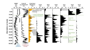Klimaentwicklung der Grönland/Nordatlantik/Zentraleuropa-Region: Großsäuger waren durchgängig präsent. Ihre größte Dichte wurde vor etwa 15.000 Jahren erreicht; sie verlassen die Region, als sich vor 11.000 Jahren zum ersten Mal geschlossene Kiefern- und Birkenwälder entwickelten. Diagramm zeigt die Klimaentwicklung der Grönland/Nordatlantik/Zentraleuropa-Region.