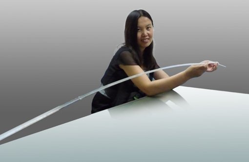 Skeleton of the glass sponge Monorhaphis chuni in the hands of Xiaohong Wang. The more than two meters long silica skeleton is flexible and resembles a fiberglass rod.