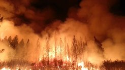 Forest engulfed in flames, thick smoke rising into the night sky. Wildfire in the Stanislaus National Forest, California.