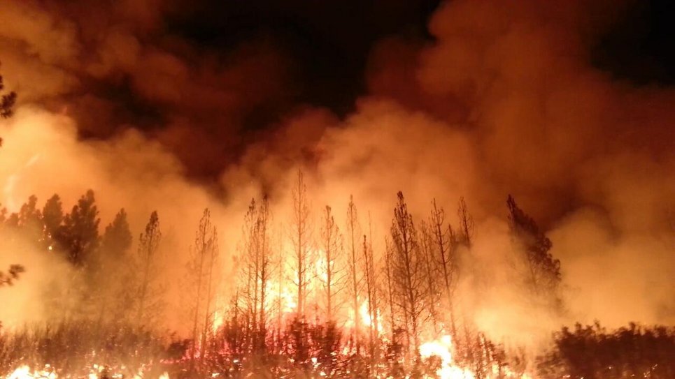 Forest engulfed in flames, thick smoke rising into the night sky. Wildfire in the Stanislaus National Forest, California.