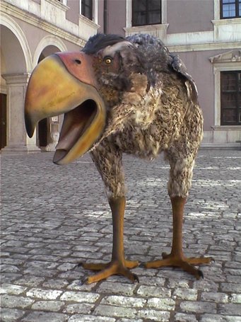 Despite its fearsome beak and enormous size it seems that Gastornis was not a prehistoric bird of prey, but a herbivore. Despite its fearsome beak and enormous size it seems that Gastornis was not a prehistoric bird of prey, but a herbivore.