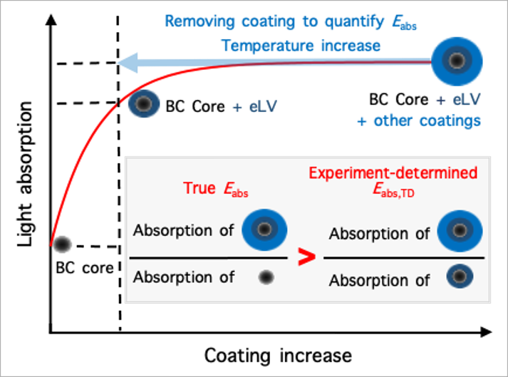 Is the climate warming of black carbon (BC) significantly enhanced when it is coated by other aerosol components? We find that the observed, apparently small light absorption enhancement (Eabs) cannot reflect the overall effect of BC coatings, as it does not include the persisting absorption enhancement by the extremely low-volatile (eLV) organic coatings remaining after passing through thermodenuders. Because the absorption enhancement is very sensitive to initial coating, quantifying eLV coating becomes key for accurate estimation of BC’s climate impact.
