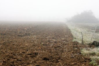 A strong HONO source: a particular large amount of nitrous acid is released from soil samples of an arable field in Finthen, Mainz, once the surface of this soil is dried out. Additionally, periodic soil moisture fluctuations caused by precipitation stimulate the bacterial production of the trace gas, which influences the self-cleaning of the atmosphere. A strong HONO source: a particular large amount of nitrous acid is released from soil samples of an arable field in Finthen, Mainz, once the surface of this soil is dried out. Additionally, periodic soil moisture fluctuations caused by precipitation stimulate the bacterial production of the trace gas, which influences the self-cleaning of the atmosphere.