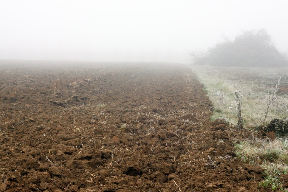 A strong HONO source: a particular large amount of nitrous acid is released from soil samples of an arable field in Finthen, Mainz, once the surface of this soil is dried out. Additionally, periodic soil moisture fluctuations caused by precipitation stimulate the bacterial production of the trace gas, which influences the self-cleaning of the atmosphere.