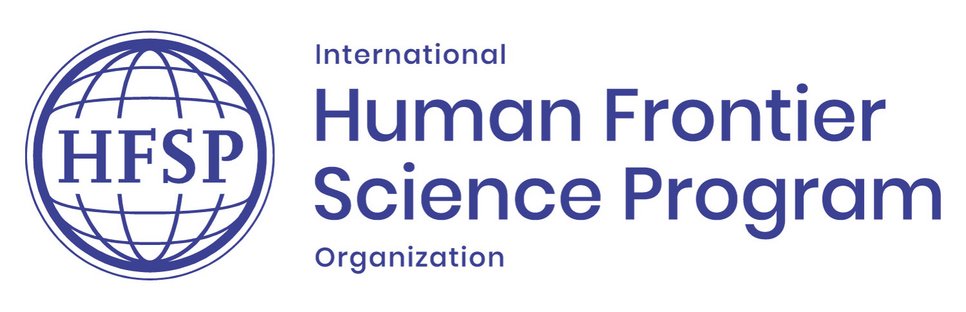 Logo of the Human Frontier Science Program with globe motif and full name, highlighting international collaboration.
