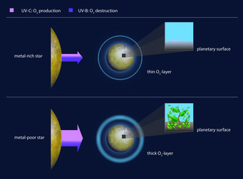 Illustration comparing ozone layer thickness of planets orbiting metal-rich and metal-poor stars, impacting surface conditions.