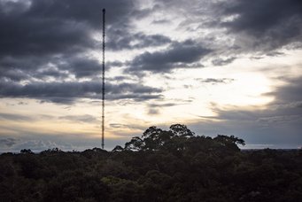 Soot measurements were made at the Amazon Tall Tower Observatory (ATTO) in the central Amazon. Amazonas rainforest, evening, ATTO tower