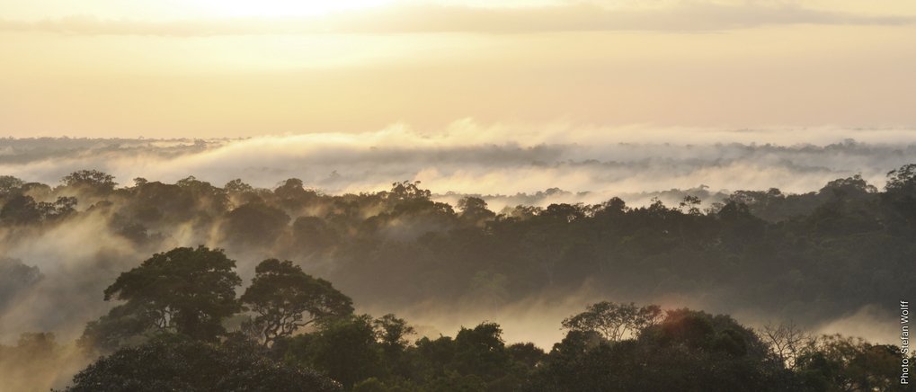 Wir untersuchen die Wechselwirkungen zwischen Luft, Wasser, Boden, Leben, und Klima im Verlauf der Erdgeschichte bis zum heutigen durch Menschen geprägten Zeitalter, dem Anthropozän.