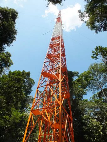 Der höchste Forschungsturm der Welt: Mit dem 325 Meter aufragenden Amazon Tall Tower Observatory, kurz Atto, untersuchen Forschende etwa den CO2 - Austausch zwischen Amazonasregenwald und Atmosphäre. Der ATTO Forschungsturm im brasilianischen Regenwald.