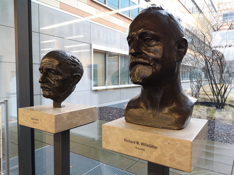 Bronzebüsten von Max Planck (l.) und Richard Willstätter.