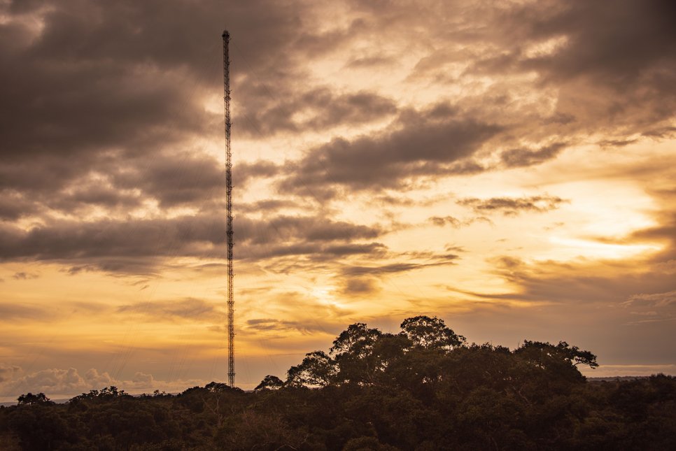Tall tower against dramatic sunset sky, surrounded by forest: The ATTO research station in the Brazilian rainforest.