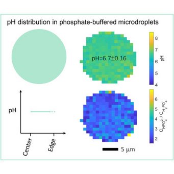 pH distribution in phosphate-buffered microdroplets. pH distribution in phosphate-buffered microdroplets.