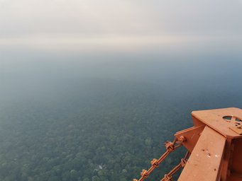 A view from the ATTO research tower shows the veil of smoke that currently lies over the Amazon. A view from the ATTO research tower shows the veil of smoke that currently lies over the Amazon.
