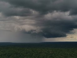Wolken über Regenwald