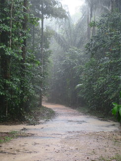 Heavy rainfall during the wet season, during afternoon