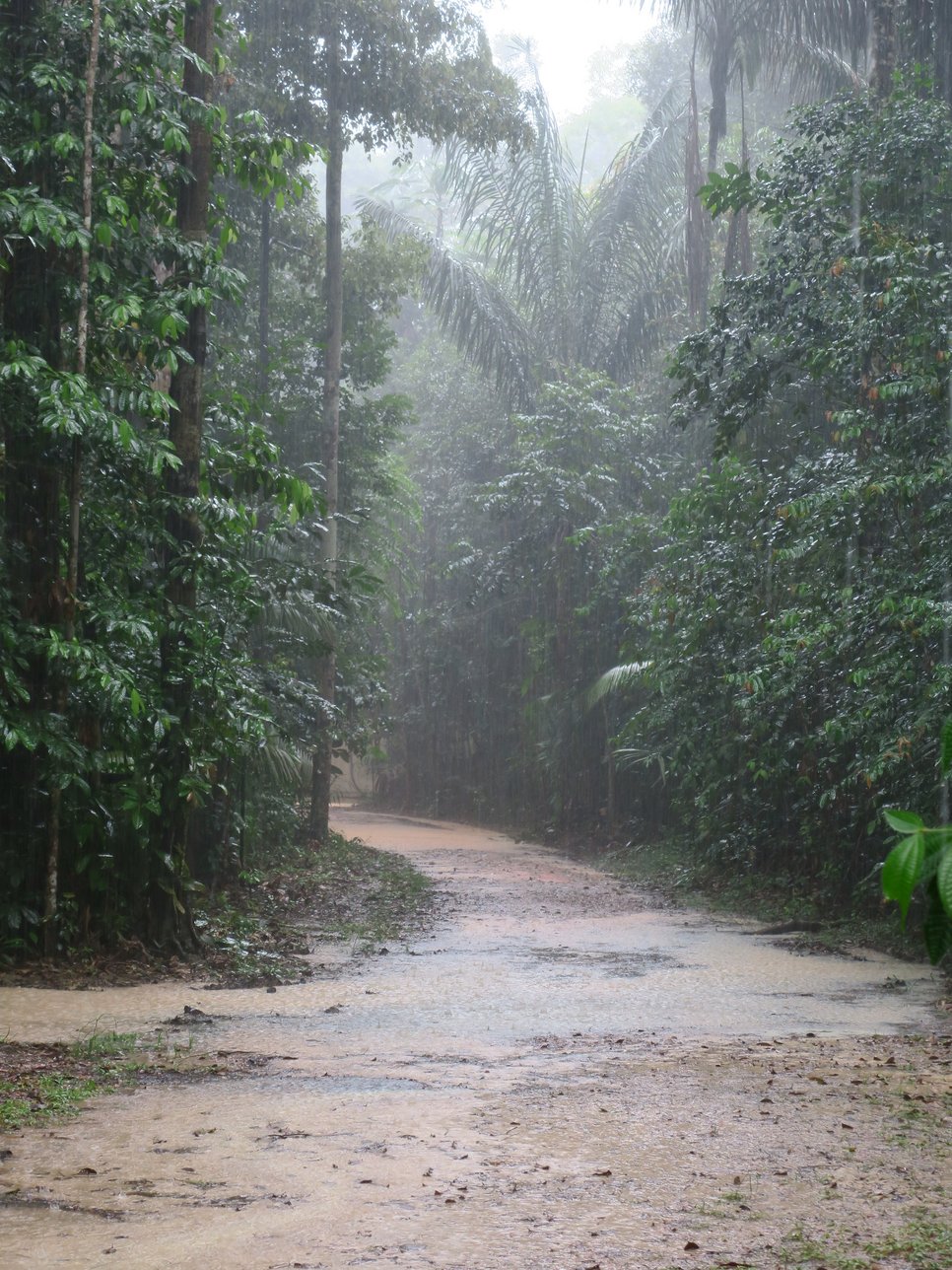 Heavy rainfall during the wet season, during afternoon