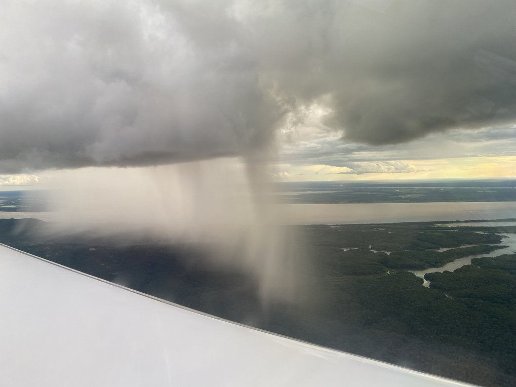 Heavy showers occur over the rainforest again and again. 