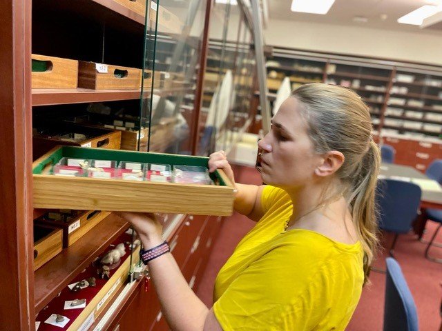Tina Lüdecke auf der Suche nach geeigneten Probenzähnen im Hominini-Tresor des Evolutionary Studies Institute an der Witwatersrand-Universität in Johannesburg, Südafrika. 