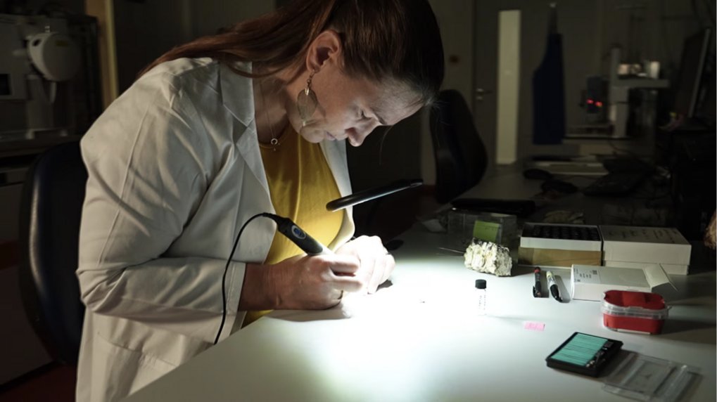 HoMeCo on TV:  Vegetarian or meat. How the diet of our ancestors looked like.