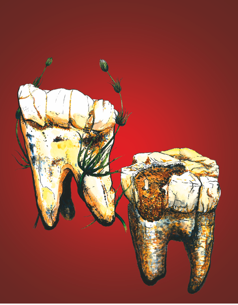 Science Podcast with Tina Lüdecke: Nailing down when our ancestors became meat eaters