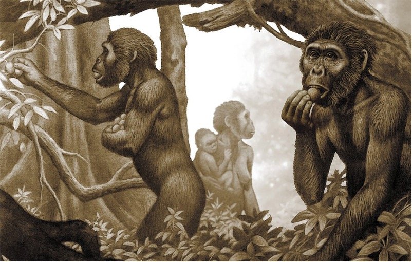 Newsprint reporting about HoMeCo’s article in Science: Australopithecus at Sterkfontein did not consume substantial mammalian meat  