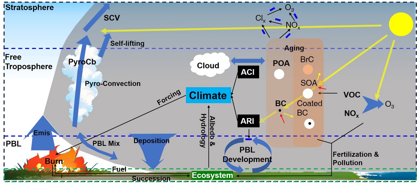 Grafic: Wildfire and its environmental impacts.