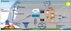 Grafic: Wildfire and its environmental impacts.