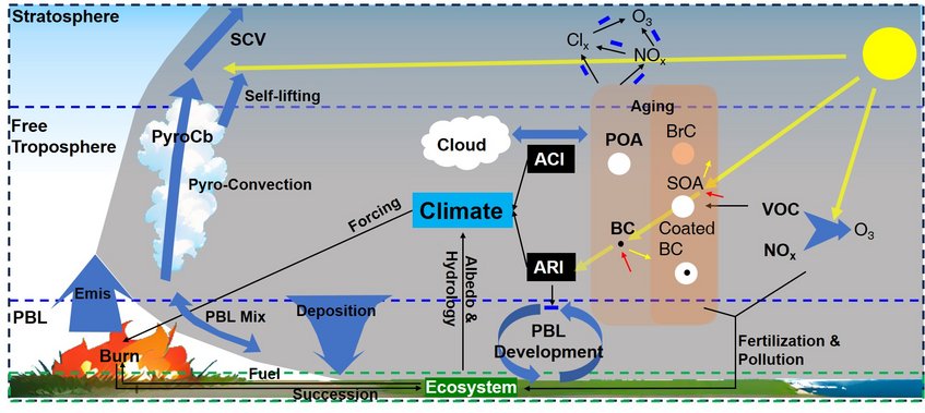 Wildfire and its environmental impacts. Grafik: Waldbrände und deren Umwelteinfluss.