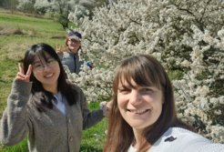 Schwarzdorn (Prunus spinosa) in voller Blüte
Im Bild sind Eunyeong Jin (Doktorandin), Nicola Sörmann (Bachelorstudentin), and Alexandra Gutmann (Postdoktorandin) bei der Vorbereitung zur Probenahme am blühenden Schwarzdorn. (Foto Alexandra Gutmann)
