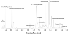 Chromatogramm des Blütendufts von Prunus spinosaDarstellung der flüchtigen organischen Verbindungen (VOCs), die aus den Blüten des Schwarzdorns emittiert werden. Die Spitzen repräsentieren einzelne Substanzen – darunter ökologisch relevante Duftstoffe wie Ocimen, Lilac Aldehyde und Phellandren. (Messung und Bearbeitung von Eunyeong Jin)