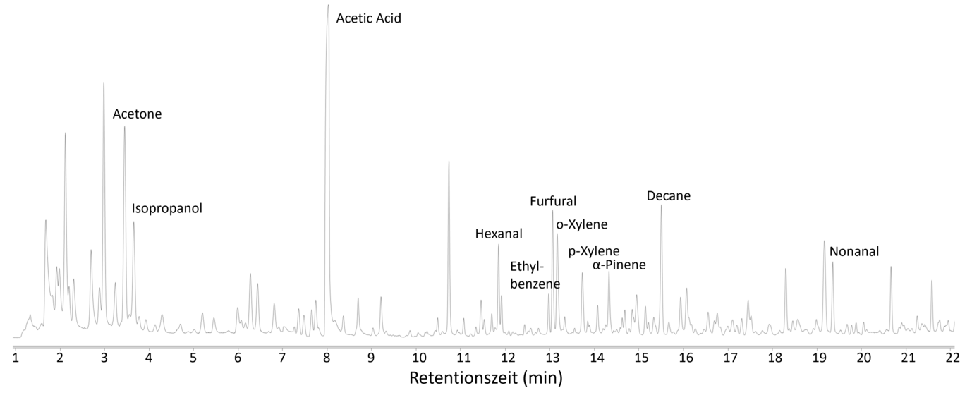 Chromatogram of the indoor air in the Mainz CathedralDepiction of the volatile organic compounds (VOCs) found in the Cathedral’s indoor air. The peaks represent individual substances—aldehydic, aromatic, and terpenoid compounds. (Measurement and processing: Kathleen Raap)